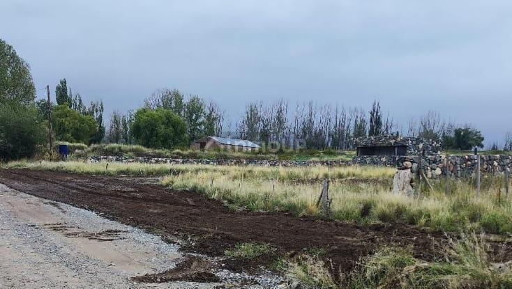 Galpon en Alquiler en Tupungato, Mendoza
