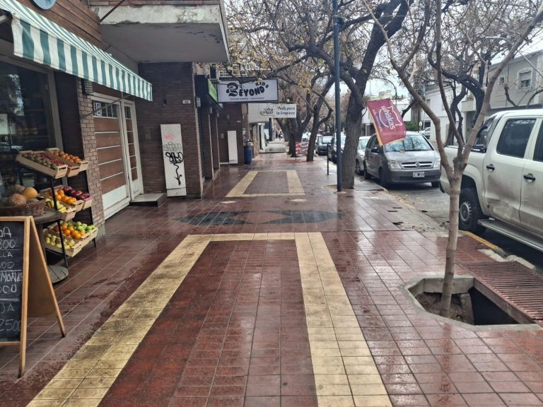 Local Comercial en Alquiler en Capital, Mendoza