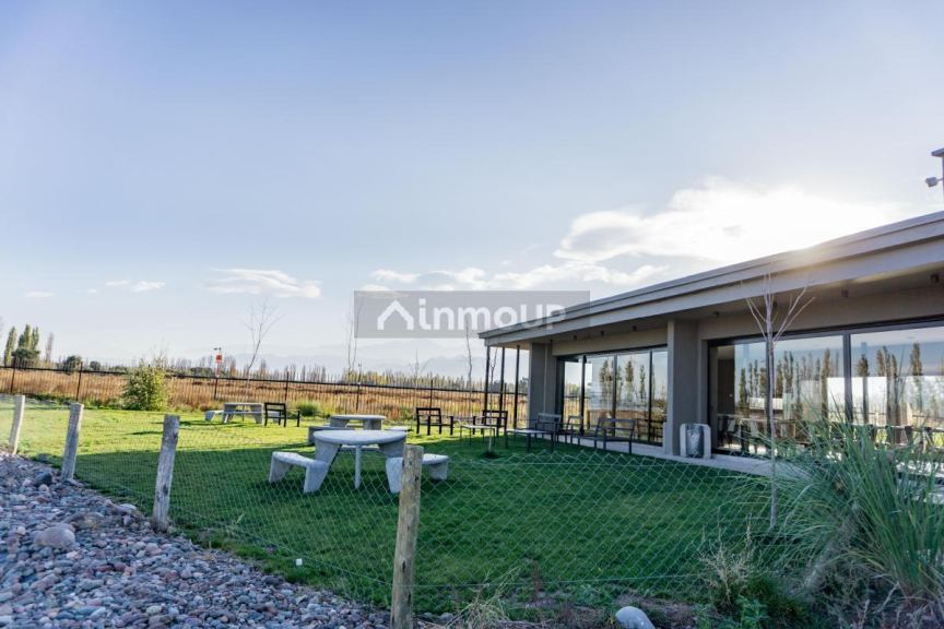 Lote en Venta en Lujan de Cuyo, Mendoza