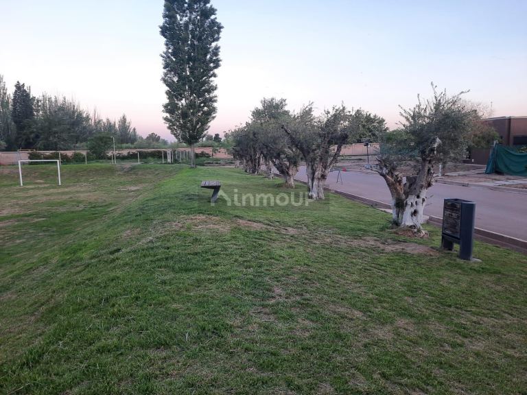Lote en Venta en Maipu, Mendoza