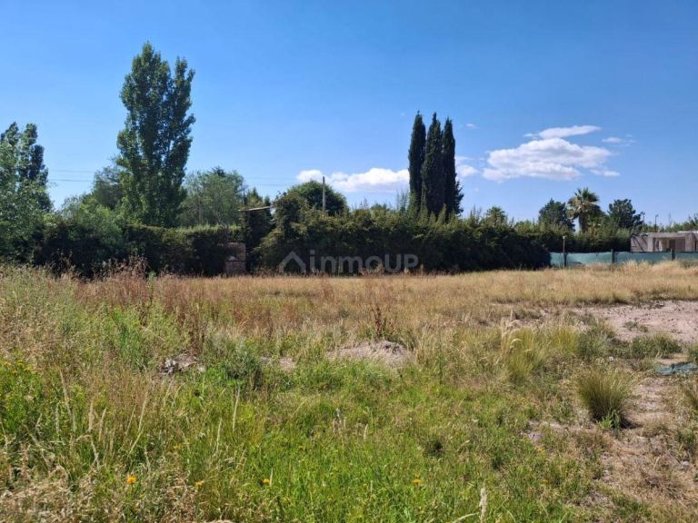 Lote en Venta en Lujan de Cuyo, Mendoza