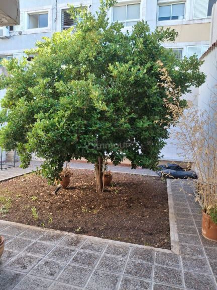 Oficina en Alquiler en Capital, Mendoza