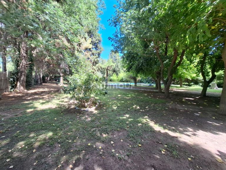 Casa en Alquiler en Lujan de Cuyo, Mendoza