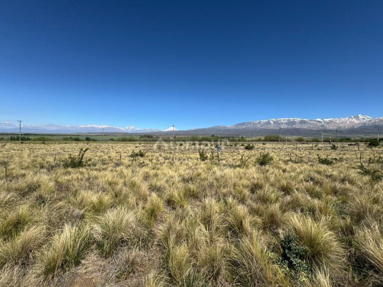 Lote en Venta en Tupungato, Mendoza