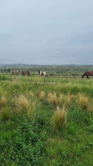 Lote en Venta en Tupungato, Mendoza