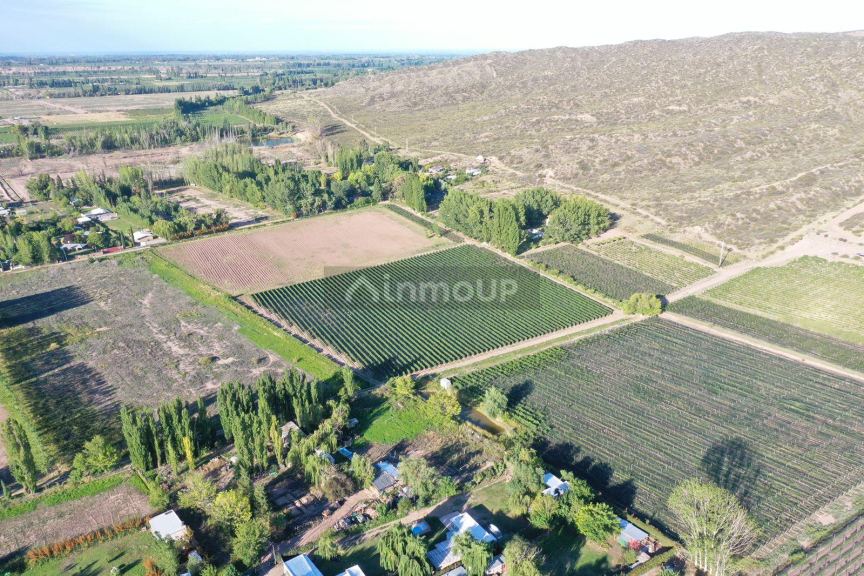 Lote en Venta en Lujan de Cuyo, Mendoza
