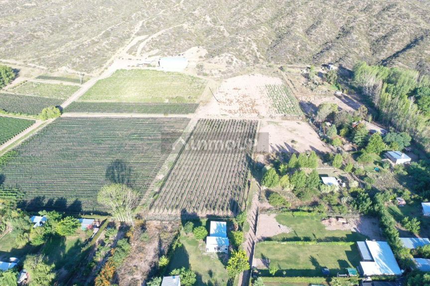 Lote en Venta en Lujan de Cuyo, Mendoza