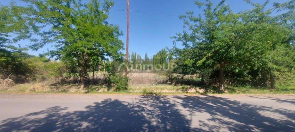 Lote en Venta en Lujan de Cuyo, Mendoza