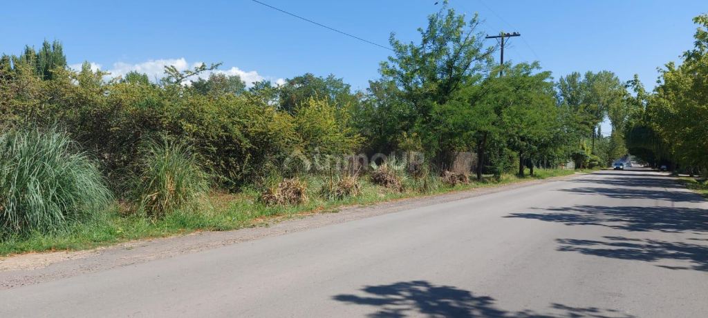 Lote en Venta en Lujan de Cuyo, Mendoza