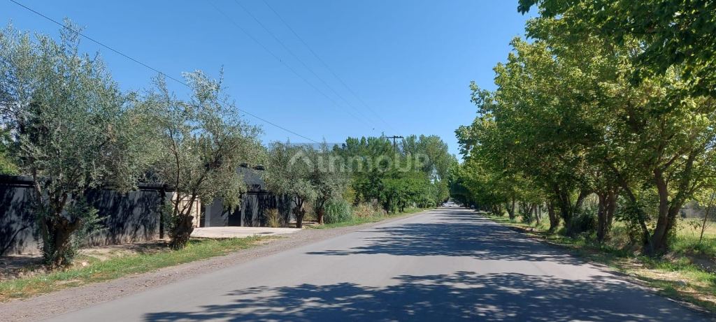 Lote en Venta en Lujan de Cuyo, Mendoza