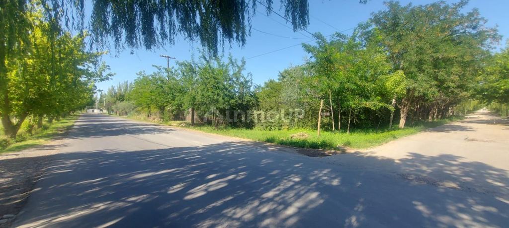 Lote en Venta en Lujan de Cuyo, Mendoza