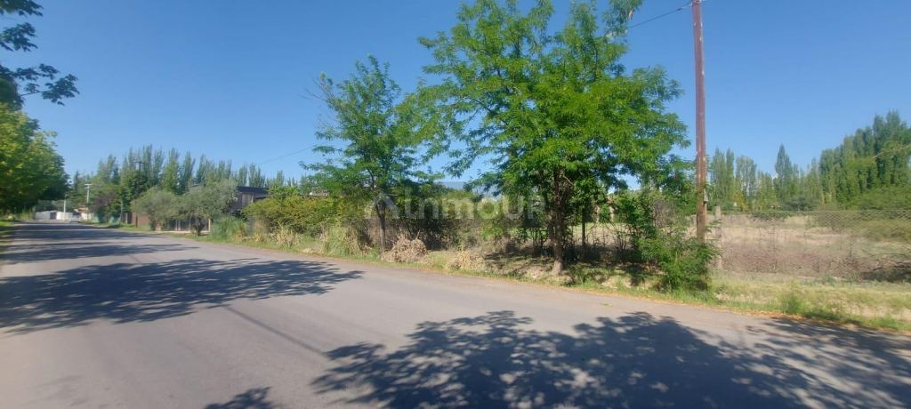 Lote en Venta en Lujan de Cuyo, Mendoza