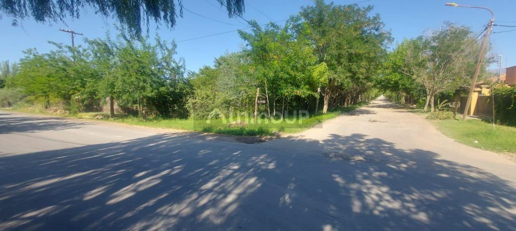 Lote en Venta en Lujan de Cuyo, Mendoza