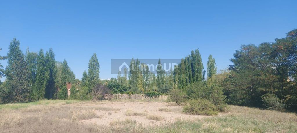 Lote en Venta en Lujan de Cuyo, Mendoza