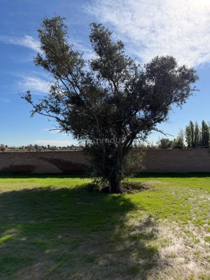Lote en Venta en Lujan de Cuyo, Mendoza