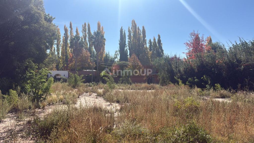 Lote en Venta en Lujan de Cuyo, Mendoza