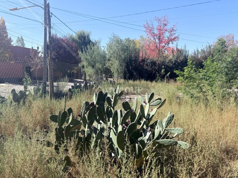 Lote en Venta en Lujan de Cuyo, Mendoza