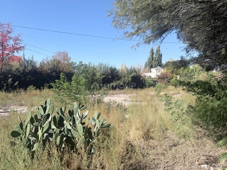 Lote en Venta en Lujan de Cuyo, Mendoza