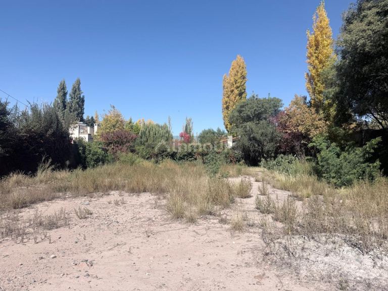 Lote en Venta en Lujan de Cuyo, Mendoza
