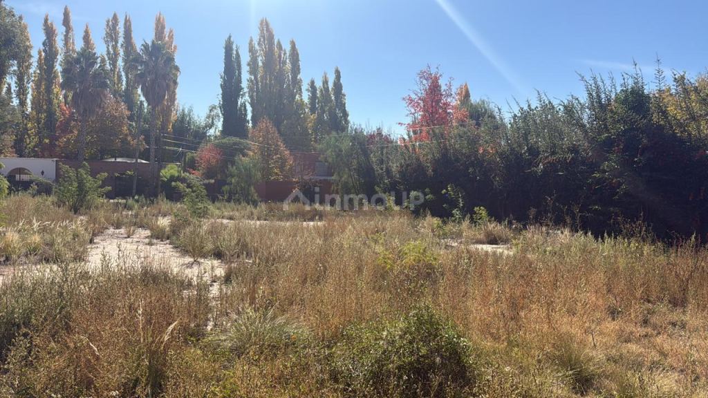 Lote en Venta en Lujan de Cuyo, Mendoza