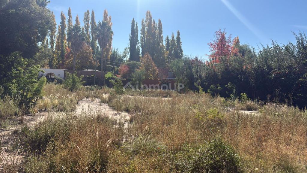 Lote en Venta en Lujan de Cuyo, Mendoza