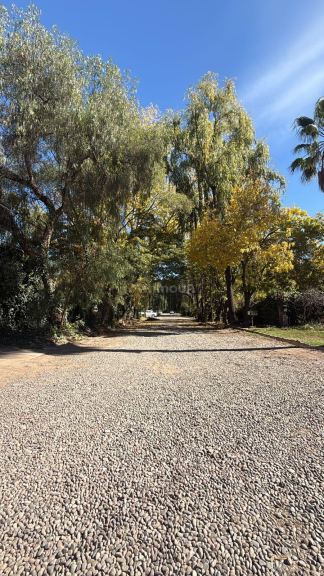 Lote en Venta en Lujan de Cuyo, Mendoza