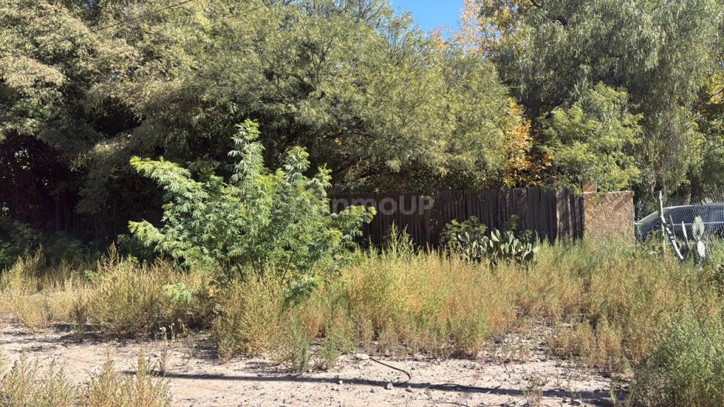 Lote en Venta en Lujan de Cuyo, Mendoza