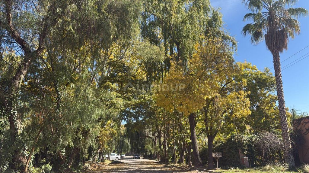 Lote en Venta en Lujan de Cuyo, Mendoza