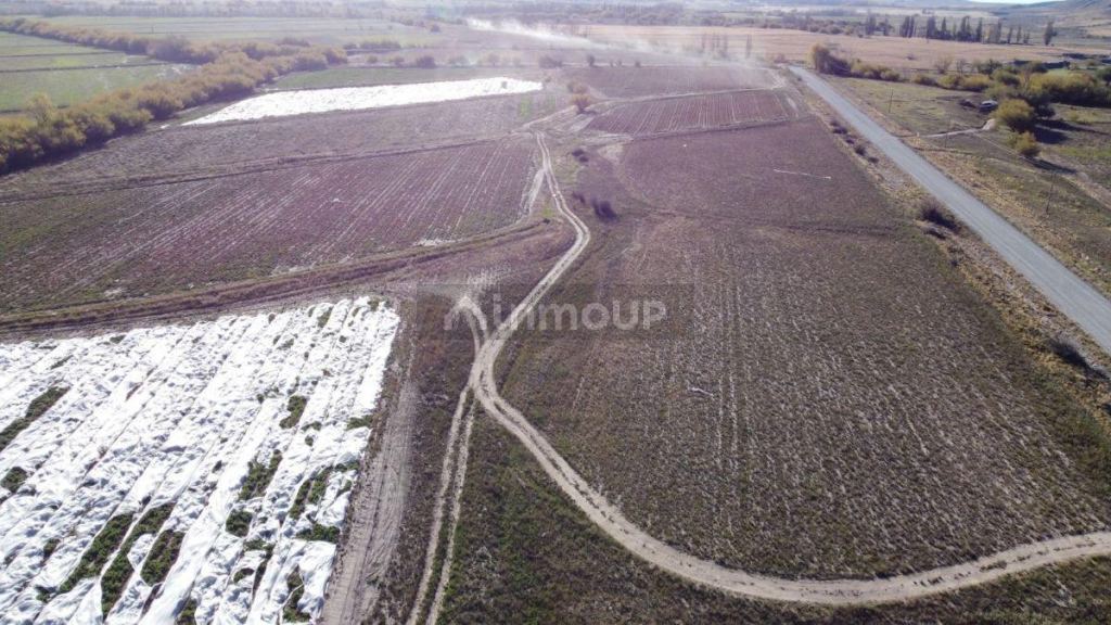 Lote en Venta en Tupungato, Mendoza