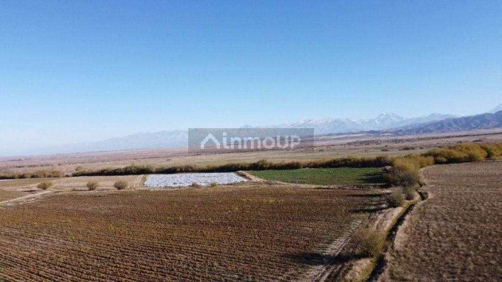 Lote en Venta en Tupungato, Mendoza