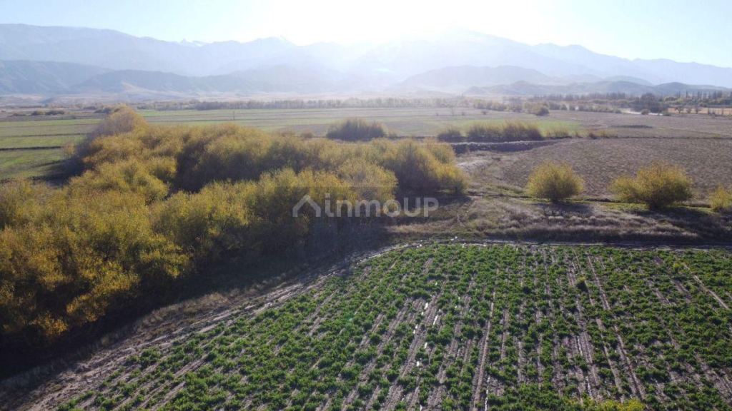 Lote en Venta en Tupungato, Mendoza