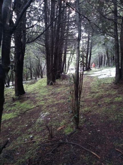 Lote en Venta en San Martin de los Andes, Neuquen
