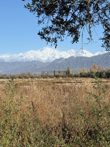 Lote en Venta en Lujan de Cuyo, Mendoza