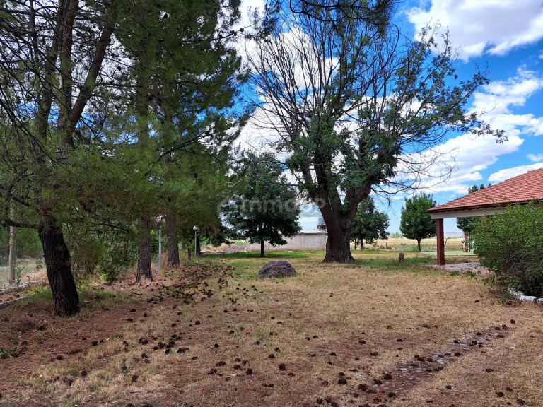 Finca en Venta en San Carlos, Mendoza