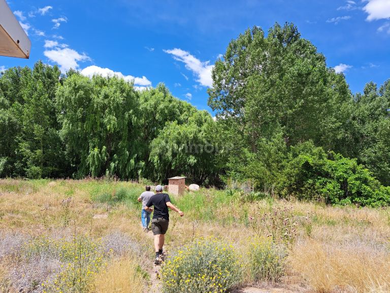 Finca en Venta en San Carlos, Mendoza