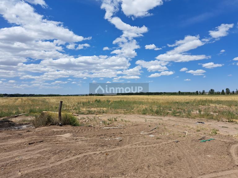 Finca en Venta en San Carlos, Mendoza