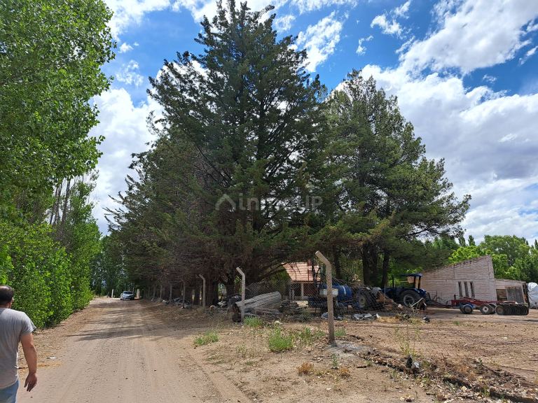 Finca en Venta en San Carlos, Mendoza