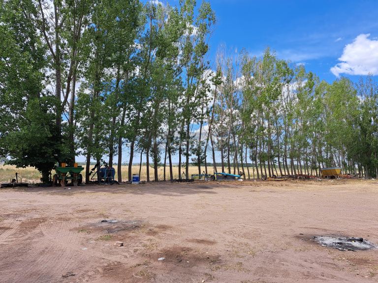Finca en Venta en San Carlos, Mendoza