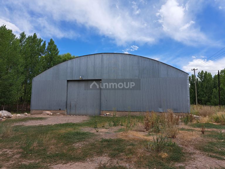 Finca en Venta en San Carlos, Mendoza