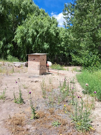 Finca en Venta en San Carlos, Mendoza