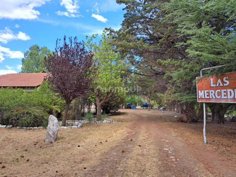 Finca en Venta en San Carlos, Mendoza