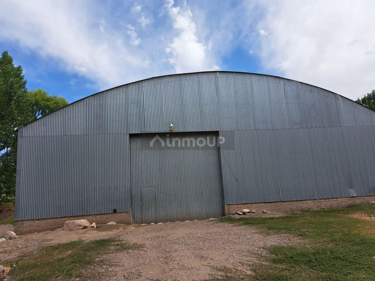 Finca en Venta en San Carlos, Mendoza
