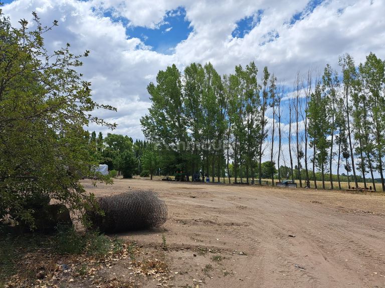 Finca en Venta en San Carlos, Mendoza