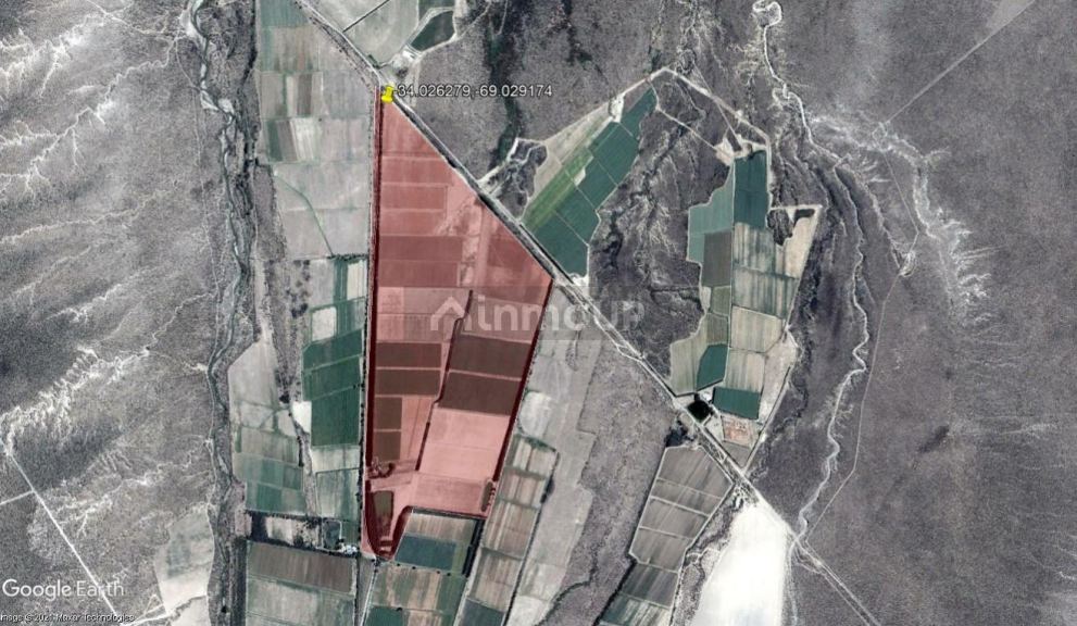 Finca en Venta en San Carlos, Mendoza