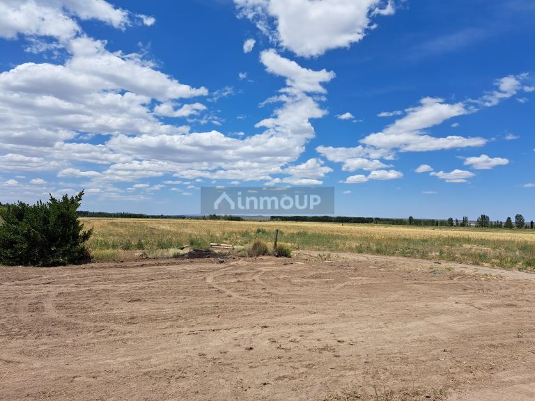 Finca en Venta en San Carlos, Mendoza