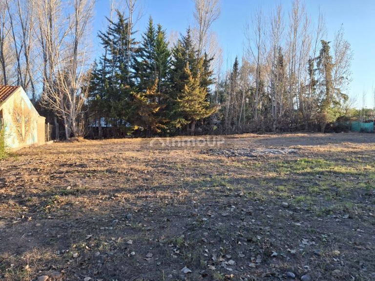 Lote en Venta en Lujan de Cuyo, Mendoza