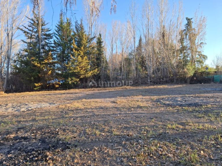Lote en Venta en Lujan de Cuyo, Mendoza