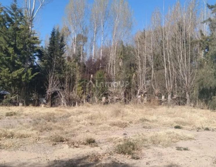 Lote en Venta en Lujan de Cuyo, Mendoza
