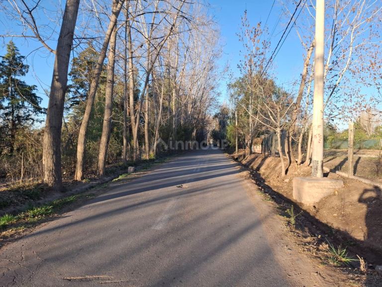 Lote en Venta en Lujan de Cuyo, Mendoza