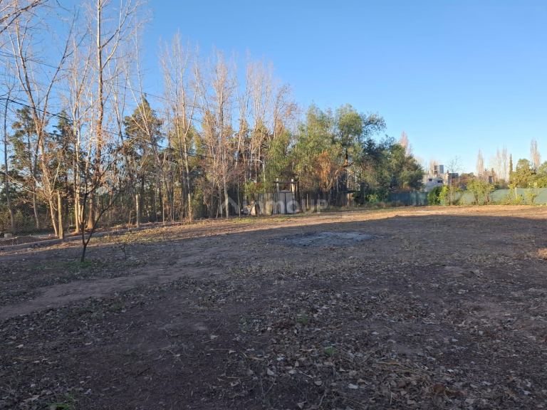 Lote en Venta en Lujan de Cuyo, Mendoza